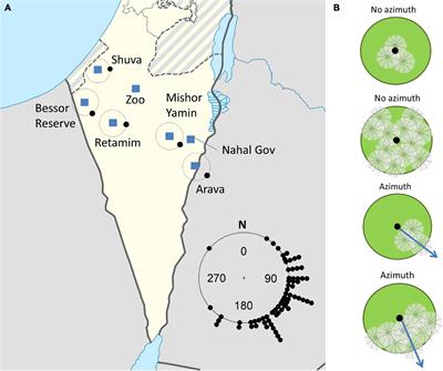 Frontiers | Long-Term Colony Dynamics and Fitness in a Colonial